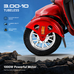 Four Wheels Mobility Scooter 800W 60V 20AH for Adult Senior Located in DE