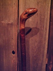 walking stick natural grown ROOT KNOB HANDLE for AVERAGE sized hands MADE IN USA