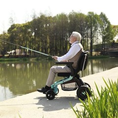 Golden Technologies Golden Ally Manual Folding Power Wheelchair – Memory Foam…
