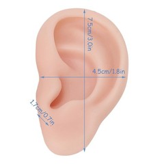 Silicone Ear Model 1 Pair Soft Model, Human Flexible Fake Ear…