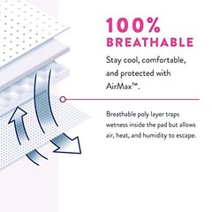 Prevail Proven Women’s Pull-Up Underwear, X-Large, Maximum, 64 Count