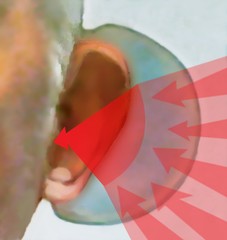 Earglasses® Personal Sound Reflectors, Set of Two Ear Cup Hearing Amplifiers New