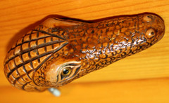 Harvy – Brown Alligator Head Shaped HANDLE ONLY – Made in Italy