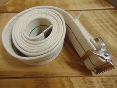 Posey Gait & Transfer Belt No. 6556 Cream & Green Stripe 60″ x 2″