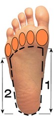 Foot Arch support – Pre-made POLYpropylene size 5 – 13, optional cover flat heel