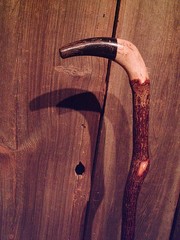 walking stick BLACK WATER BUFFALO handle for smaller sized hands MADE IN THE USA