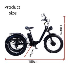 Daibot 24 Inch Fat Tire Electric Tricycle 750W Adults Snow Mountain Cargo Bike