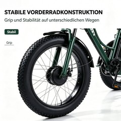 Daibot 750W 48V 24Inch Electric Trike Adult 7Speed Removable Battery Fat Tire