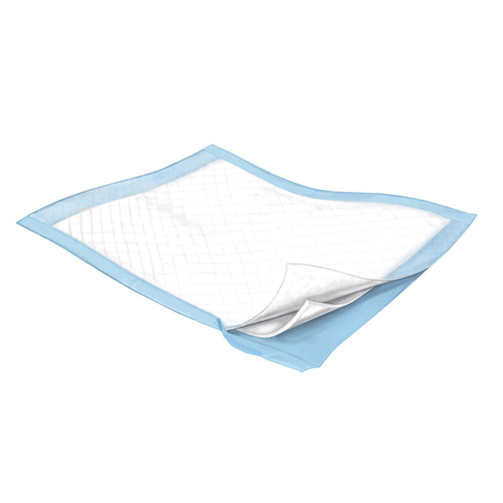 10 CT 23×24 Adult Disposable Underpads Bed Wheelchair Chair Under Pads Moderate
