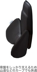 EXGEL Hug Drive Back Cushion Polyester Black Adjustable Pelvic Support HUD01-BK