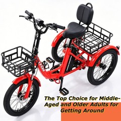 Daibot Adult Removable Battery Cargo Basket 350W Fold Mobility Trike 3 Wheel