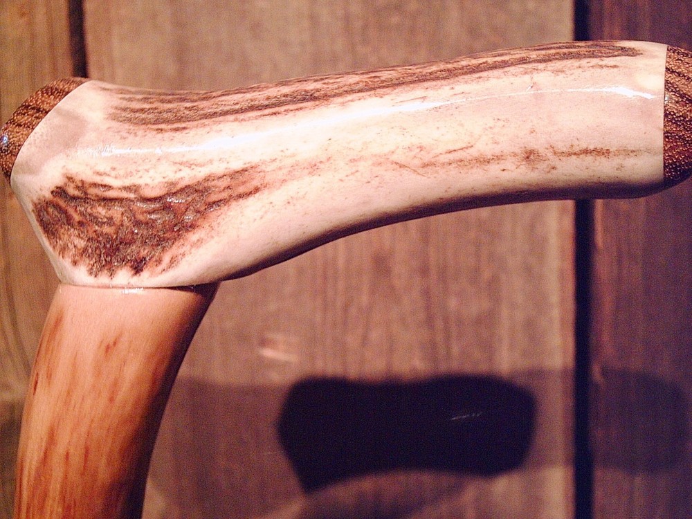 walking stick cane Antler handle MAPLE wood shaft very stiff CUSTOM MADE IN USA