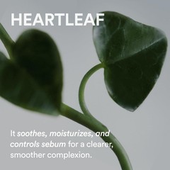 Abib Pore Cleansing Oil Heartleaf 200ml – Gentle, Sensitive Skin, Blackhead Care