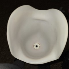 Prosthetic Right Leg Below Knee