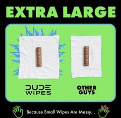 DUDE Wipes MentHOLE XXtreme Flushable – Menthol 48 Count NEW (Pack of 3)