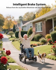 30 Miles Lightweight Foldable Electric Wheelchair for Adults, All-Terrain, Black