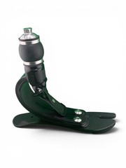 Ossur Pro-flex Proflex Xc Torsion Prosthetic Foot. Right. Size 29. Category 6
