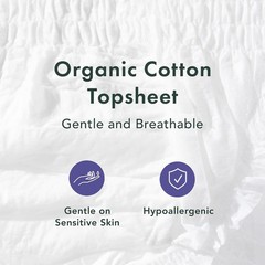 Rael Organic Cotton Cover Period Underwear, Maximum Absorbency, L/XL, 20 Count