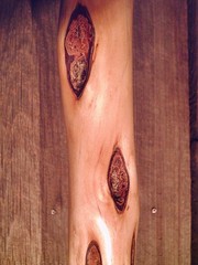 diamond willow walking stick STAG ANTLER handle cane custom made cane in the USA