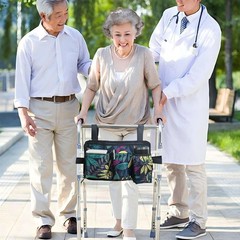 Walker Bag, Multi Pockets Folding Walker Basket Tote Bag with Cup Holder, Han