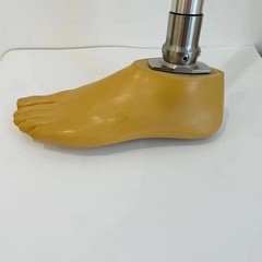 Universal Prosthetic Foot SACH Foot Adapter |Size 12–30 | Beige or Brown |L/R