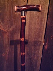 walking stick T handle NATURAL GROWN birch for average sized hands MADE IN USA