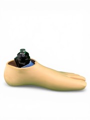 Blatchford Avalon Hydraulic Ankle Prosthetic Foot. Left. Size 29. Excellent cond