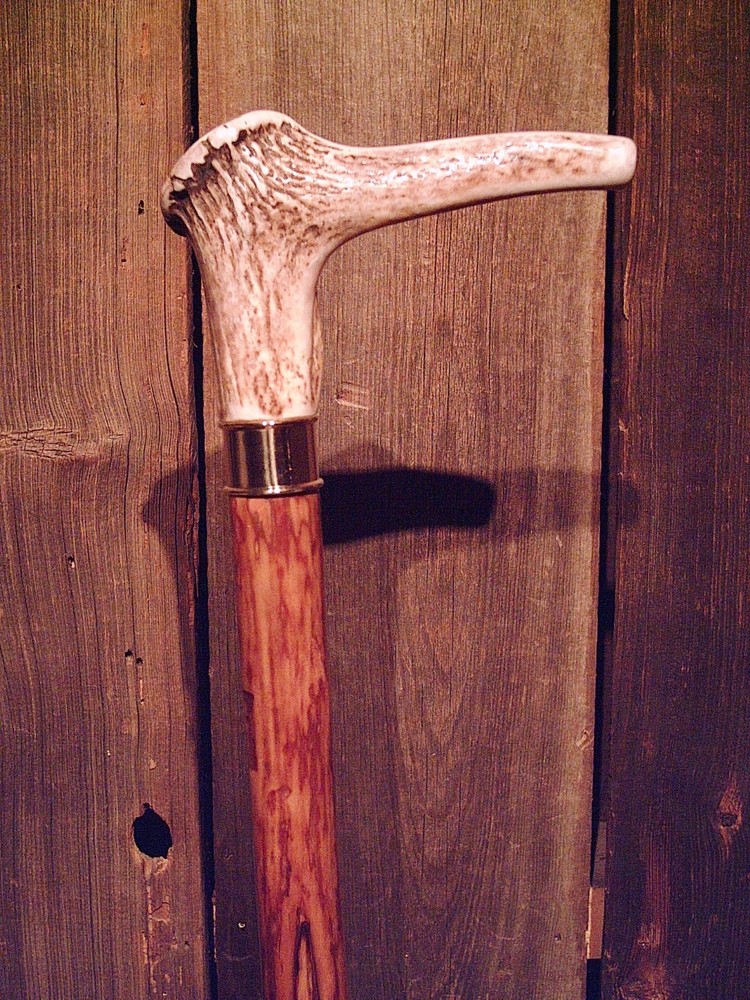 walking stick cane ELK antler handle BRASS collar VERY stiff MAPLE wood shaft