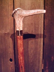 walking stick cane ELK antler handle BRASS collar VERY stiff MAPLE wood shaft