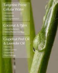 Lbb Cell Beauty Lbb 4-In-1 Micro Foam Cleanser – Ph 5.5 Face Cleansing Milk To