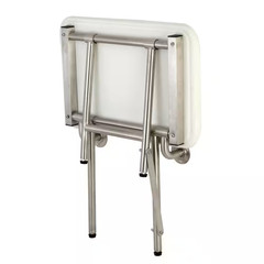 Adascape 22 In. X 16 In. Wallmounted Fold down Shower Seat in Brushed Stainless