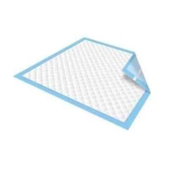 10 CT SECURE Personal Care Products SP113010 DISPOSABLE UNDERPADS 30″ X 30″
