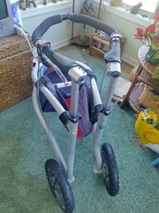 Trionic Veloped Sport 12er All Terrain Walker