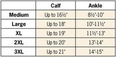 Silver Steps EZ Zip Open Toe Compression Socks, 20-30 mmHg L, XL, XXL, XXXL