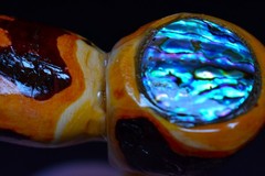 Abalone and Alligator Juniper