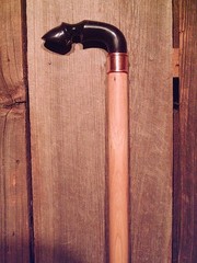 cane Water Buffalo horn handle copper ring tapered hickory shaft MADE IN THE USA