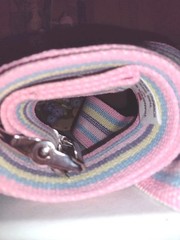 Gait Transfer Belts 72″ Machine Washable 100% Cotton