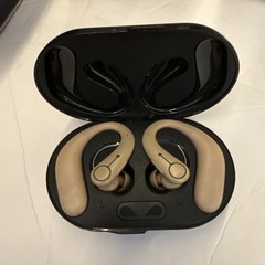 Royal Hearing , Hearing Aids for Seniors with Bluetooth F-AID Brown With Case