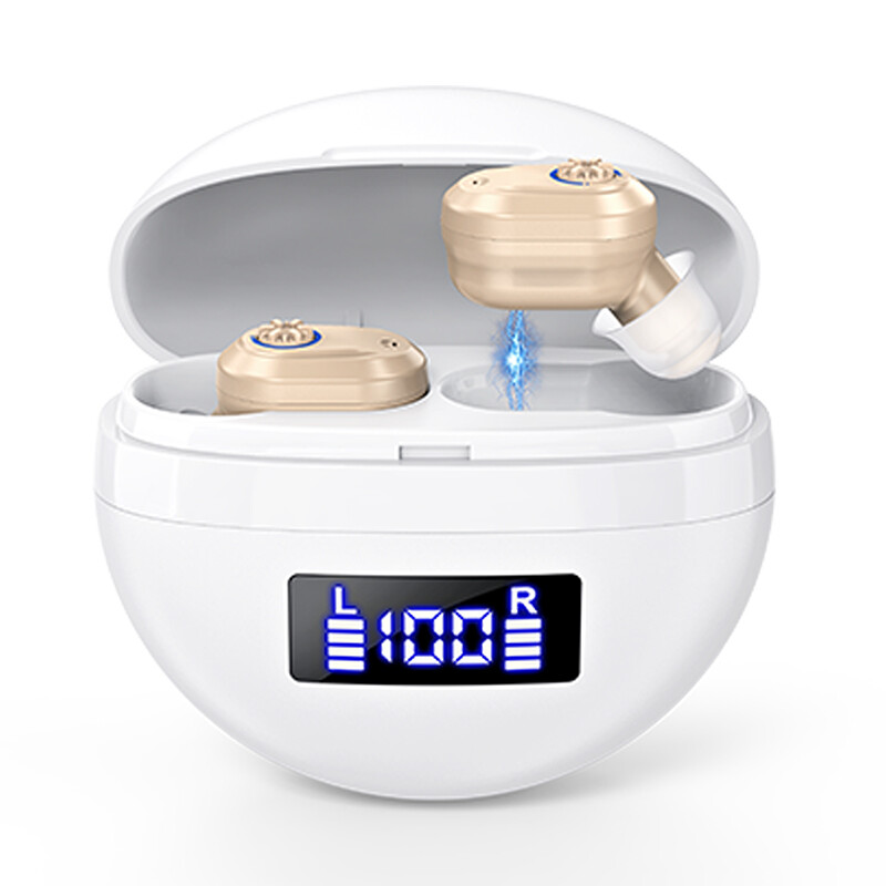 Pair Of Rechargeable Digital Hearing Aid With Adjustable Volume For Hearing Loss