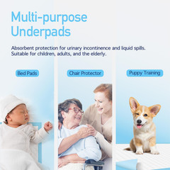 Disposable Underpad, 17″ X 24″, 22G, 100 Count, Medical-Grade Incontinence Bed P