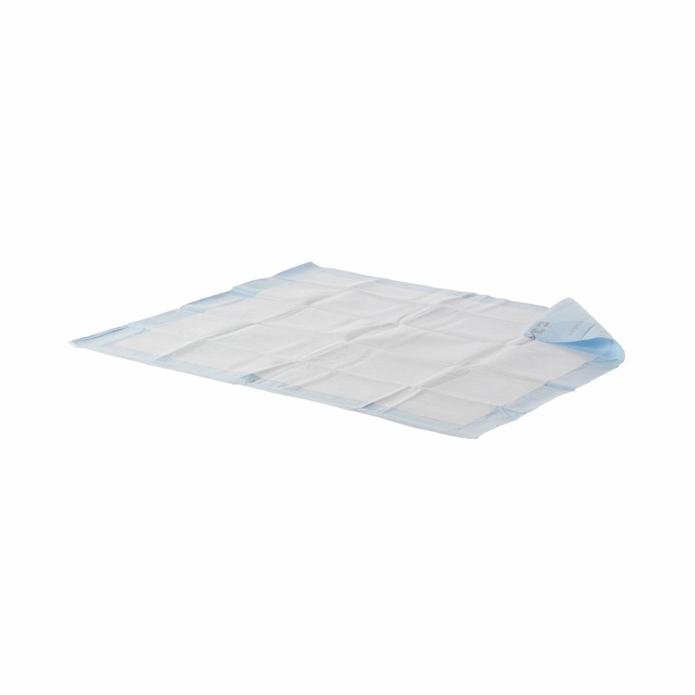 Wings Quilted Premium Strength Underpad Heavy Absorbency 30 X 36″ 40 ct