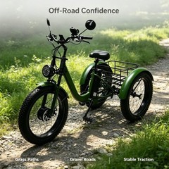 Daibot 750W 24 Inch Fat Tire Mobility Trike for Adults All Terrain Shopping