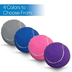 RMS Walker Glide Walker Skis Walker Balls 2-Pairs with 4 Color Choices