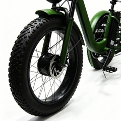 Daibot 24 Inch Fat Tire Electric Tricycle 750W 15AH Adults Snow Mountain E Bike