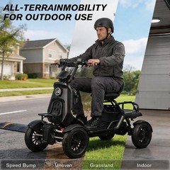 500/1000W Electric Mobility Scooter for Adults with Cargo Platform All Terrain