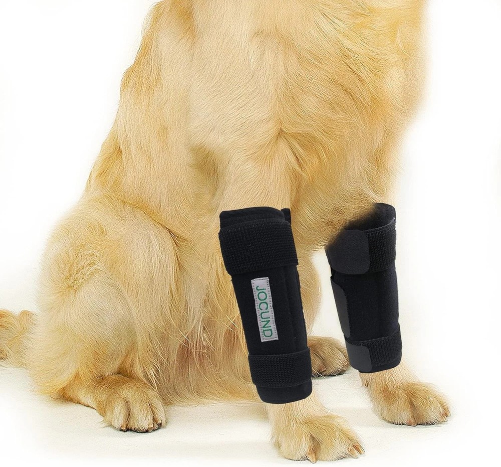 Dog Front Leg Brace, Pair of Brace with Metal S/M (1 Pair), Black