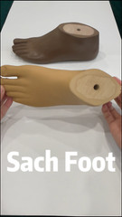 Prosthetic SACH Foot Beige/Brown | Size 12–30 | Left/Right | Universal Fit