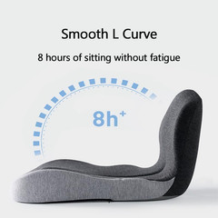 Celinva Orthopedic Cushion, Seat Cushion for Office Chair and Car, Ergonomic