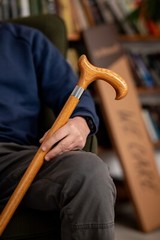 Dr. Watson – Handcrafted Wooden Walking Stick, Walking Cane with Derby Handle