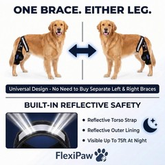 Dog Knee Brace for Torn ACL & CCL, Luxating Patella Support, Cold Therapy, Stabi